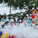 버드랜드 이미지