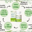 스마트안 이미지