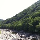 뱀사골야영장 이미지