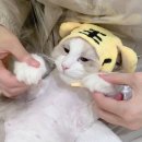 금복 미용실
