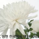 오늘(대전갈마장례식장) 이미지