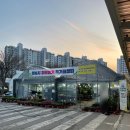 분당장터길 | 하나로마트 성남점 꽃 직거래장터 봄 향기 가득한 방문 후기