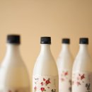 월향 스트레이트뉴스