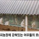 금지농장 이미지