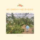 바른농원 | 경주 꿈자람농원 울산 근교 아이랑 실내 체험 천혜향 따기 후기