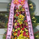 빙구문구 - 의정부시 오목로 221 | 빙구문구