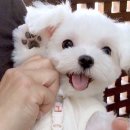 슬교 네이버블로그