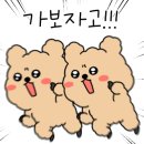 금호샤브 이미지