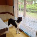 산수림 - 부산진구 | 산수림