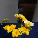 마령활력센터 이미지