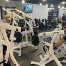 더짐 피트니스 이미지