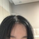 세븐피엠 앞머리 뿌리 볼륨 브러쉬 사용 후기