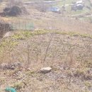 남해-285 이미지