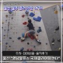 영남센터 | 영남알프스 국제클라이밍센터 실내 암벽장 다녀온 솔직 후기