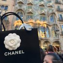 나드리패션 | 2026.02.12 ~ 2026.02.24(결혼 2주년여행: 바르셀로나🛍️🛍️ )