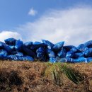 약수터주유소 이미지