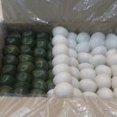 토토빌어린이집 이미지