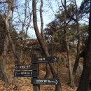 돌산배드민턴장(숲길) 이미지