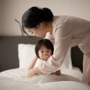 스테이 월화 이미지