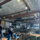 카츠 고릴라 이미지