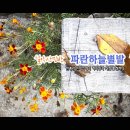 파란하늘민박 이미지