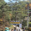 동활 이미지