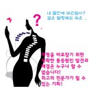 몸과 두뇌의 다이어트 성공전략 놀러오세요~ 이미지