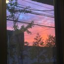 길스가든더로드 101 | 0617~0623