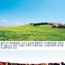 서정식당 이미지