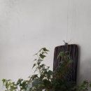 이조가구 이미지