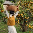 금동농장 이미지