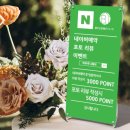 딸기미용실 이미지