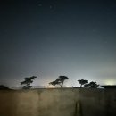 자발적고립 | [충남] 독채 감성숙소 자발적 고립(오션뷰 풀빌라) 만족스러워서 작성하는 내돈내산 후기
