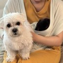 꾸어봄 | 152# 본격 육아 시작! 어찌 지나가는지 모를 하루하루