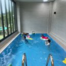 밀양풀빌라펜션 이미지