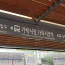 가락 수산시장 식당 횟감 골라골라 후기 (용천수산 맛집)