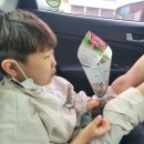 꼬스덴뇨