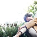 김영애