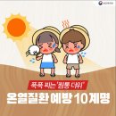 온열질환 예방법 이미지