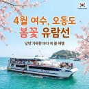오동도 | 여수 오동도 유람선 후기 , 4월 봄여행 코스로 추천하는 여수 바다여행