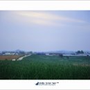 사랑목장 이미지