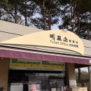 춘천봄여행, 진달래꽃이 피었습니다. 강원도립화목원 (산림박물관) 다녀온 후기