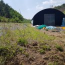 봉화1농장 이미지