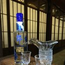 종각역 술집] 종각 숨은 맛집 고량주관에서 고량주 부시고 온 ㄹㅇ 후기 (★미친 스압 주의★)