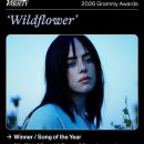 [2026 그래미 어워드] 올해의 노래 - 빌리 아일리시 'Wildflower' (APT, Golden 불발) 이미지