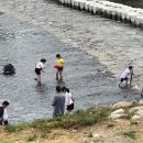 바람개비 딸기학교 이미지