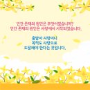 사랑의 창조 이미지