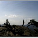 축령산풍경