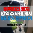 송파구 벼룩파리 방역 업체 구더기와 알로 덮이기 전에!