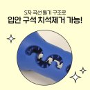 봄날의댕댕이 | 1시간 순삭! 노즈워크 덴탈츄 부스터 S로 댕댕이 스트레스 해소!